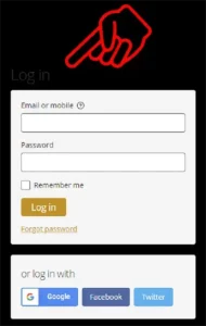 the login form