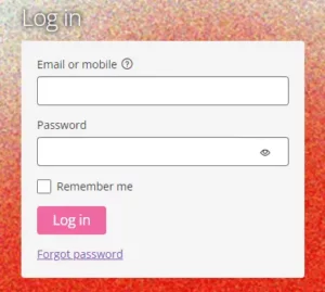 the login form